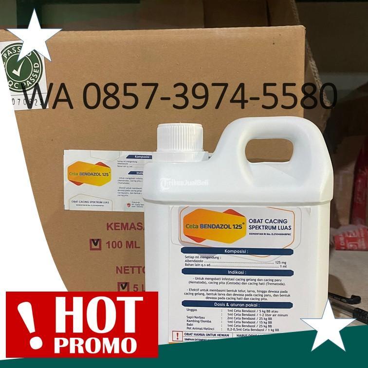 Obat Cacing Sapi Ampuh Pundong di Kediri - Tribun JualBeli