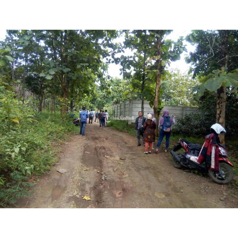 Dijual Tanah Ideal untuk Kos-Kosan, Dikelilingi Fasilitas Lengkap - Bandung