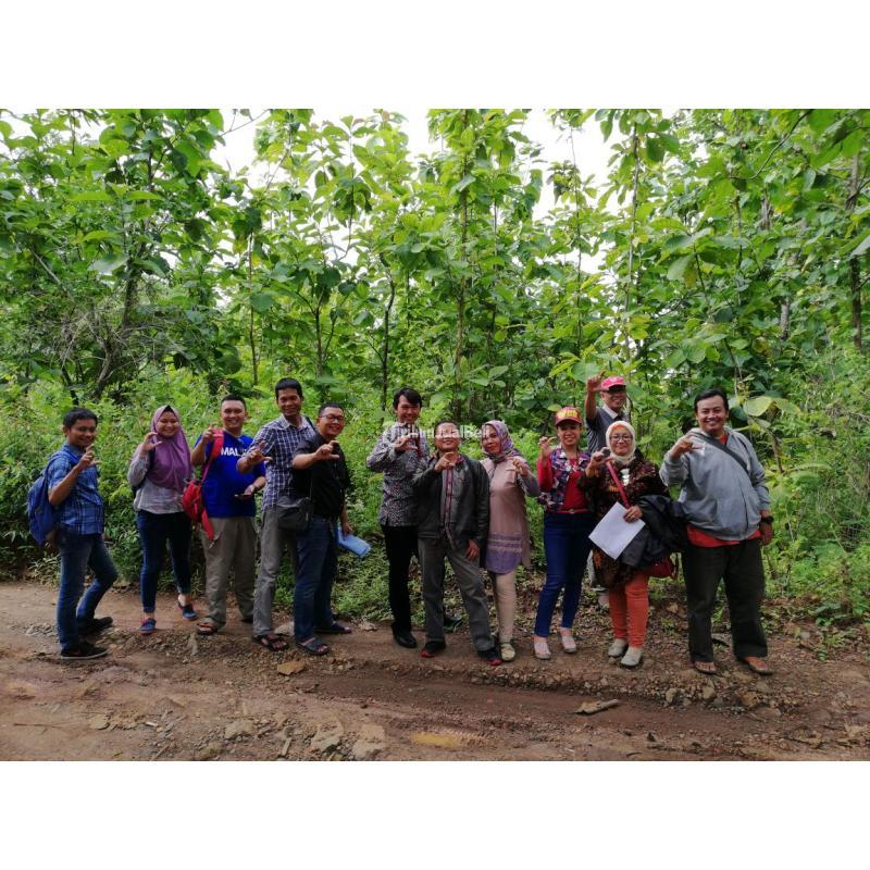 Dijual Tanah Ideal untuk Kos-Kosan, Dikelilingi Fasilitas Lengkap - Bandung