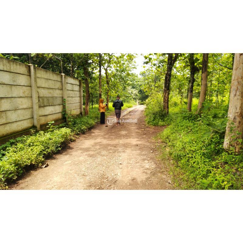 Dijual Tanah Kavling Siap Bangun Kos-Kosan, Cicilan Ringan Langsung ke Developer - Bandung