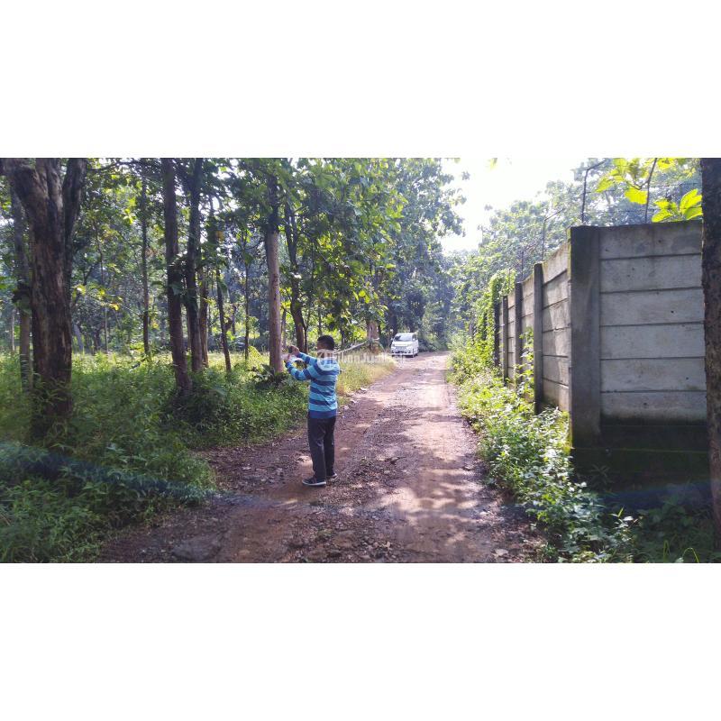 Dijual Tanah Kavling Siap Bangun Kos-Kosan, Cicilan Ringan Langsung ke Developer - Bandung