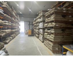 Green Coffee Beans for Sale - Makassar