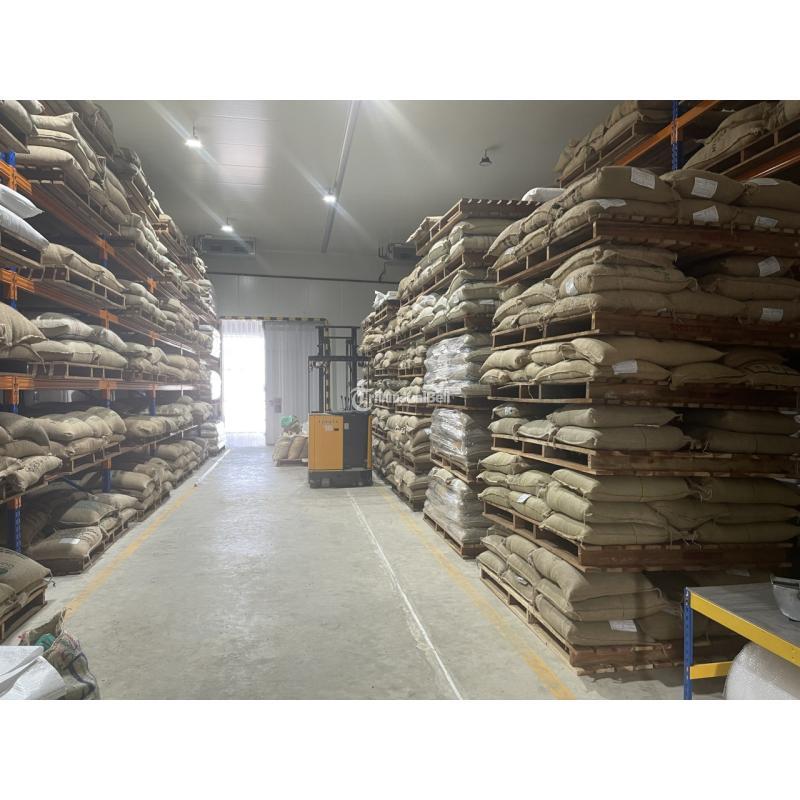 Green Coffee Beans for Sale - Makassar