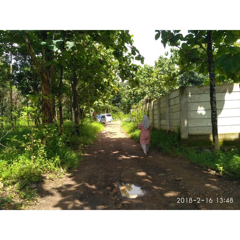 Jual Tanah Kavling Luas 65 m2 Dekat Kampus Cicilan Fleksibel Tanpa Bunga - Bandung Kota