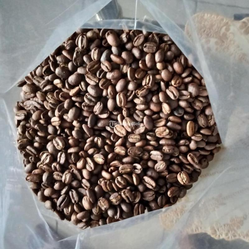 Coffee Bean Supplier Indonesia - Makassar