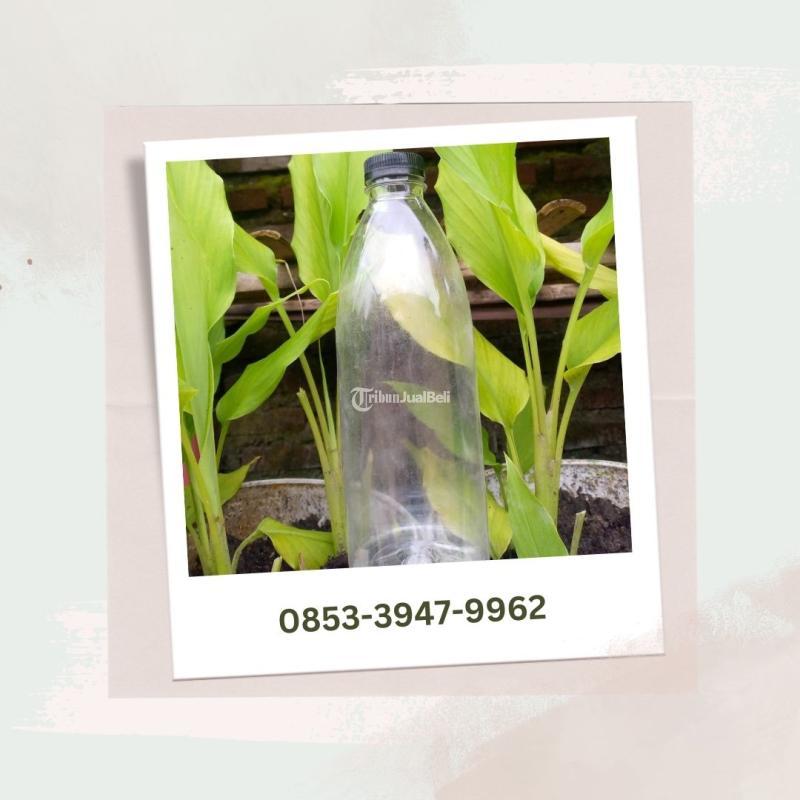 Agen Botol Cantik 600 ml Pujon - Malang