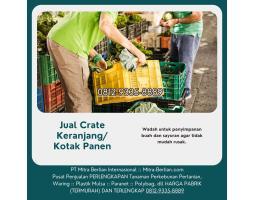 Agen Keranjang Buah Panen - Mataram