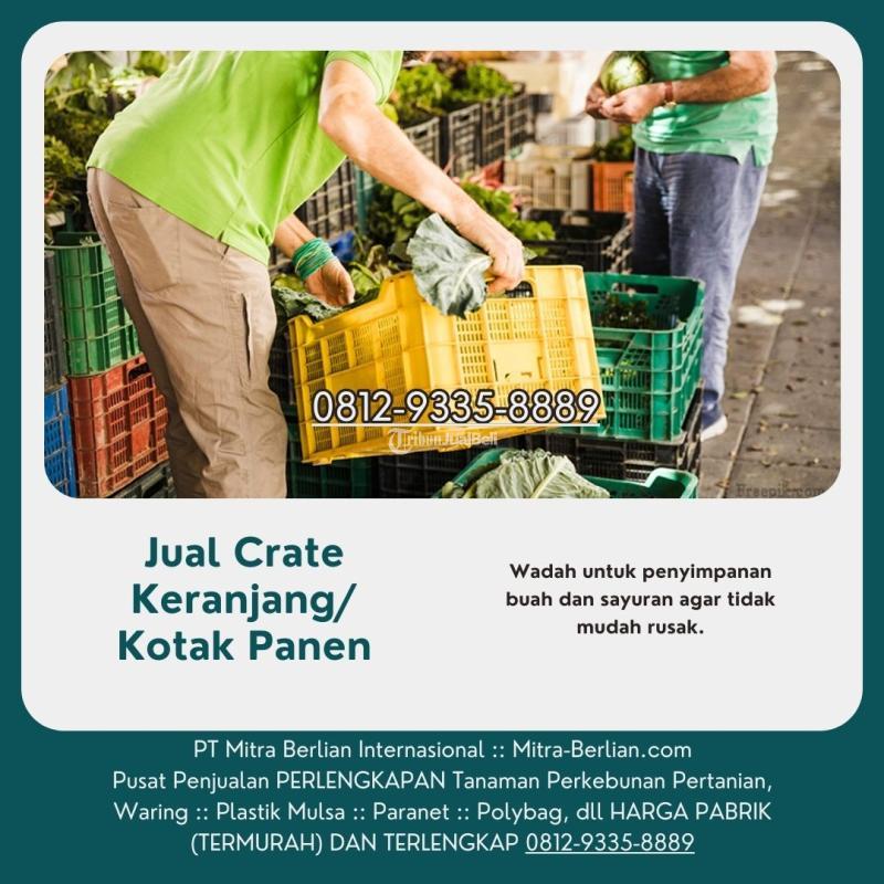 Agen Keranjang Buah Panen - Mataram