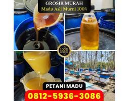 Grosir Murah Harga Terbaik Promo Agen Madu Asli Murni - Pekanbaru