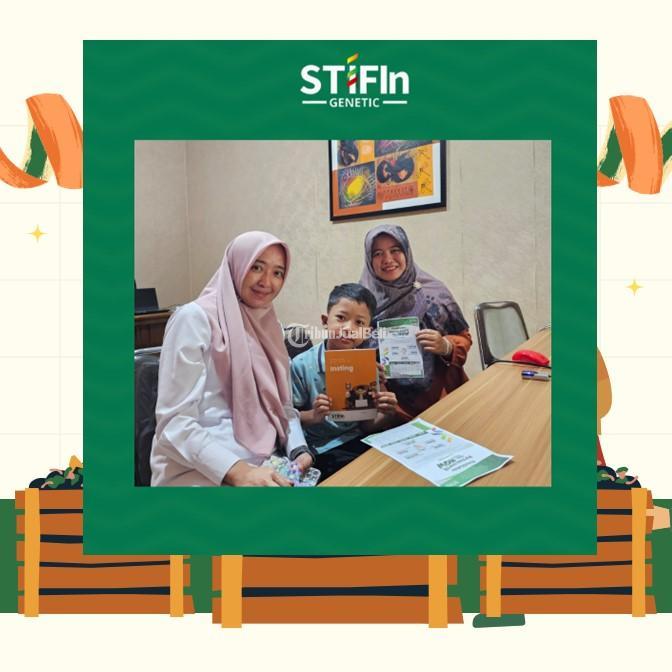 Tes STIFIn di Pringsewu Terbaik dan Terpercaya - Bandar Lampung