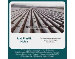 Agen Plastik Mulsa Pencegah Gulma - Semarang