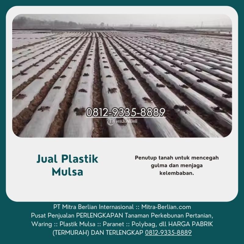 Agen Plastik Mulsa Pencegah Gulma - Semarang