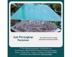 Agen Perangkap Feromon - Pontianak