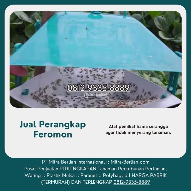 Agen Perangkap Feromon - Pontianak