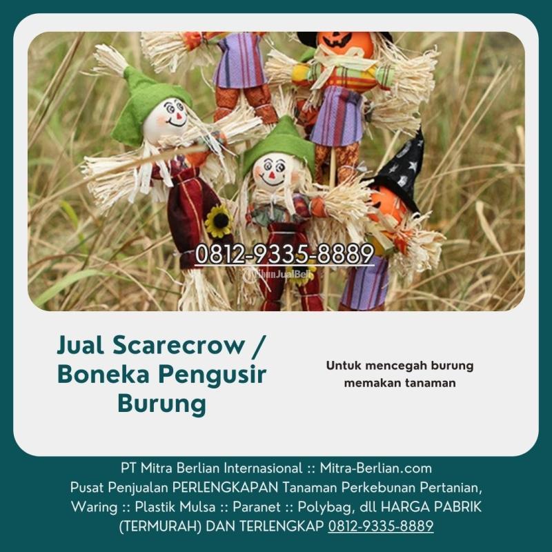 Distributor Sarecrow Pengusir Burung - Banjarmasin