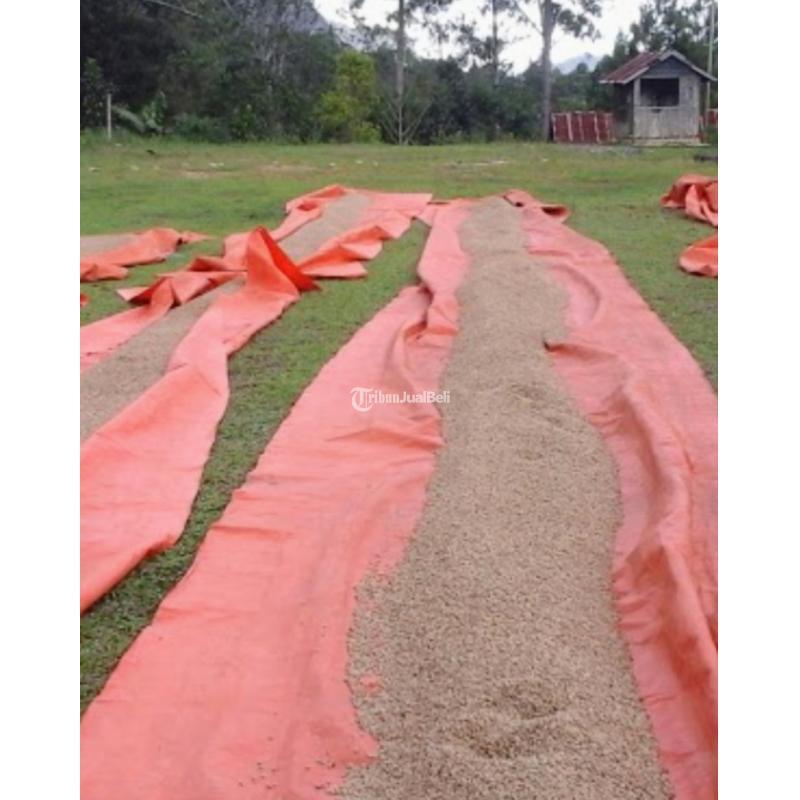 Indonesia Coffee Supplier - Makassar