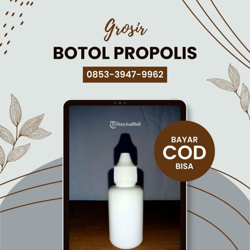 Sedang Promo  Agen Botol Propolis 30ml Segel Trowulan - Mojokerto