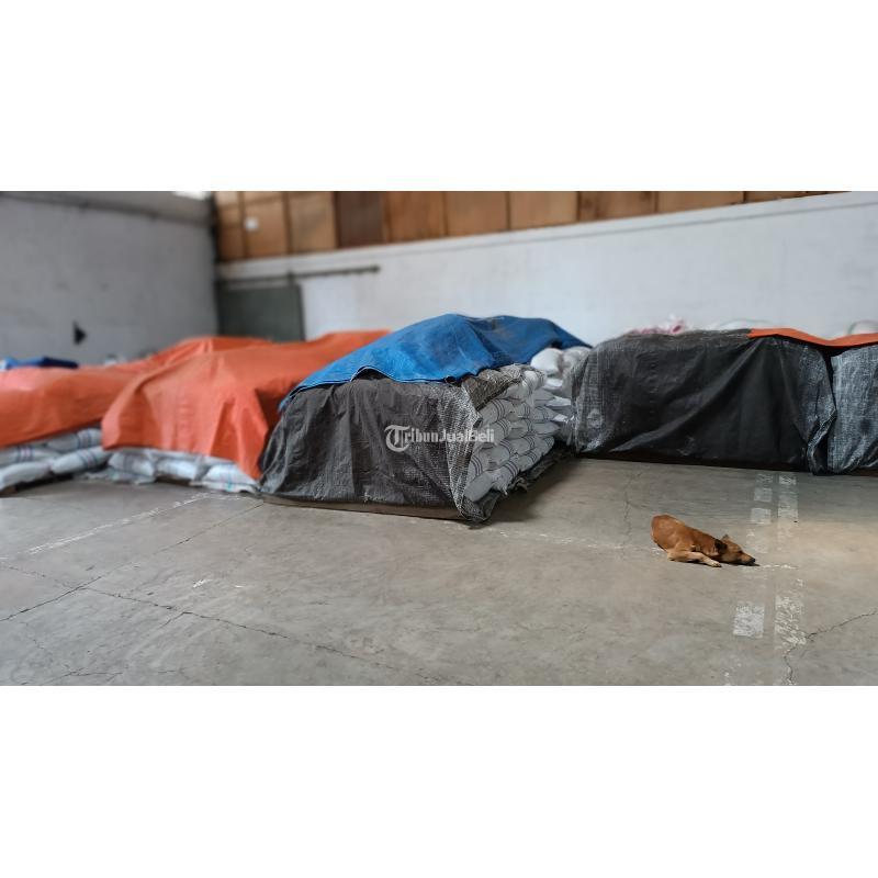 Best Indonesian Coffee Supplier Green Coffee Beans dan Roasted Coffee - Makassar