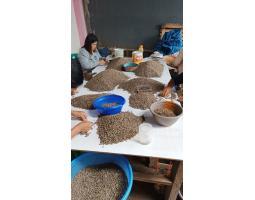 Premium Quality Coffee Beans Arabika dan Robusta - Makassar