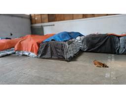 Export Coffee From Indonesia Ready Arabica And Robusta Toraja - Makassar