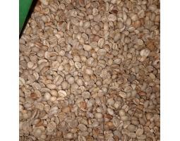Raw Coffee Beans for Sale Premium Arabica  Robusta from Indonesia - Makassar