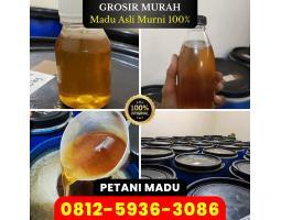 Agen Madu Asli Murni, Grosir Murah Harga Terbaik Promo - Jambi