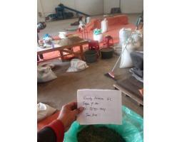 Wholesale Coffee Beans Suppliers - Makassar 