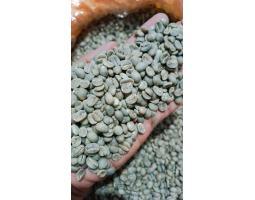 Green Coffee Beans Supplier Indonesia - Makassar
