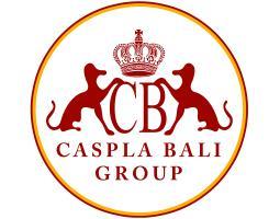 Staff Design Grafis Harga Terjangkau - Denpasar 