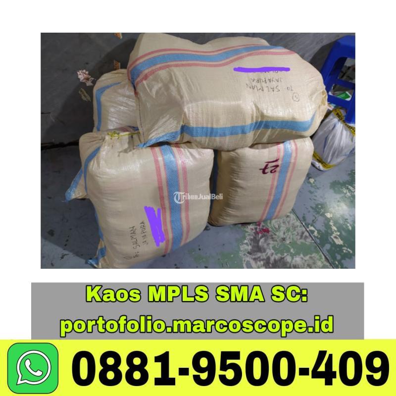 Jasa Pembuatan Kaos MPLS SMA - Surabaya