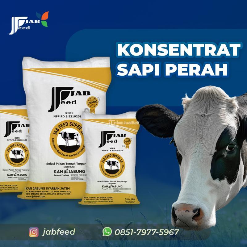 Konsentrat Sapi Perah - Malang