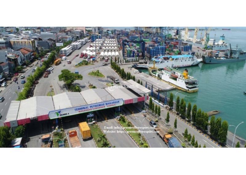 Green Coffee Beans Arabica Toraja Indonesia - Makassar