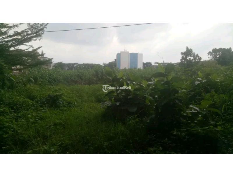 Disewakan Tanah Luas 6.100 m2 Di Suhat - Malang Kota 