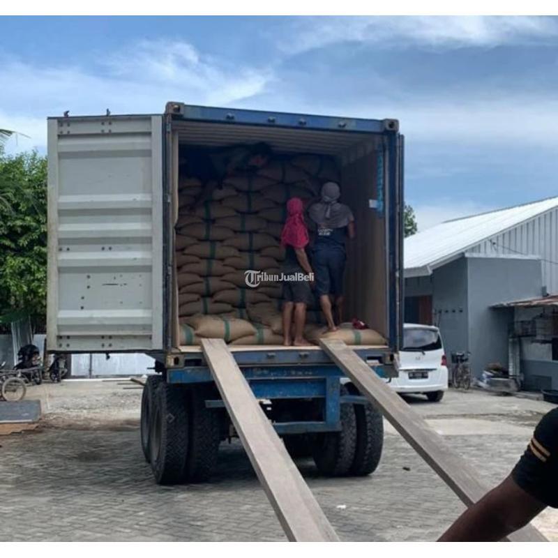 Coffee Exporter Online Indonesia - Makassar