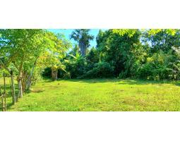 Dijual Tanah 14,6 are Area Pengambengan Negara - Jembrana Bali