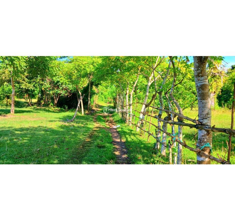 Dijual Tanah 14,6 are Area Pengambengan Negara - Jembrana Bali