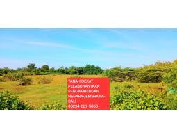 Jual Tanah Luas 9901 m2 dekat Pelabuhan Pengambengan Negara Bali - Jembrana 