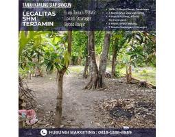 Dijual Tanah Strategis Luas 533m2 SHM di Pleret Banguntapan Bantul Jogja Dekat RS Rajawali - Bantul