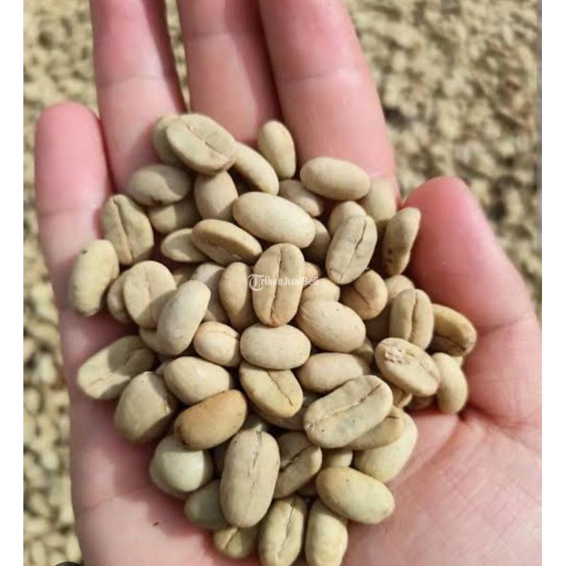 Unroasted Coffee Green Beans For Sale Arabica Toraja  - Makassar