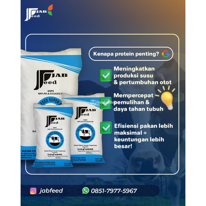 Jabfeed, Konsentrat Sapi Protein Tinggi - Malang