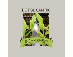 Botol Cantik 350 ml Murah - Batang 