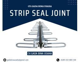 Produsen Strip Seal Expansion Joint Kualitas Terbaik di Kalimantan - Palangka Raya