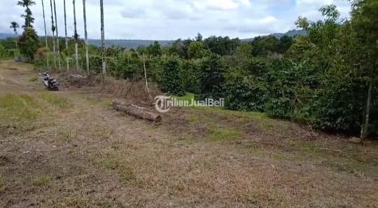 Dijual Tanah, Luas 36.000m2, SHM, Pinggir Jalan Aspal, Pakpak Bharat - Sumatera Utara