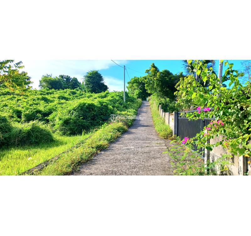 Dijual Tanah, Luas 2500m2, SHM, Dekat Muara Pantai Pengambengan Negara, Jembrana - Bali