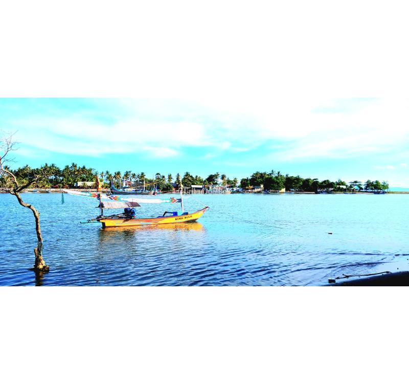 Dijual Tanah, Luas 2500m2, SHM, Dekat Muara Pantai Pengambengan Negara, Jembrana - Bali