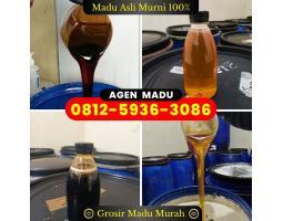 Agen Grosir Madu Asli Murni, Harga Murah - Pekanbaru
