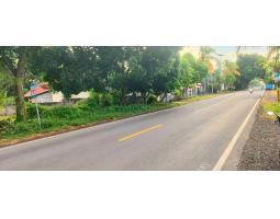 Dijual Tanah, Luas 1 Hektar, SHM, Jl Seririt Singaraja, Gerokgak, Buleleng - Bali