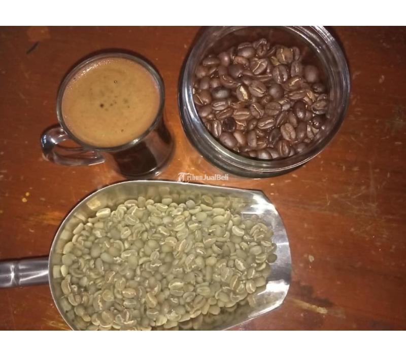 Premium Green Bean Coffee From Indonesia - Makassar
