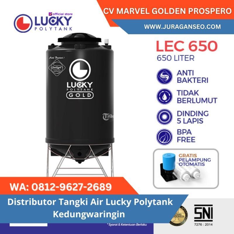 Distributor Tangki Air Lucky Polytank - Depok