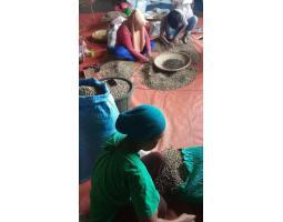 Distributor Arabica and Robusta from Toraja - Makassar